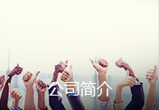 公司简介